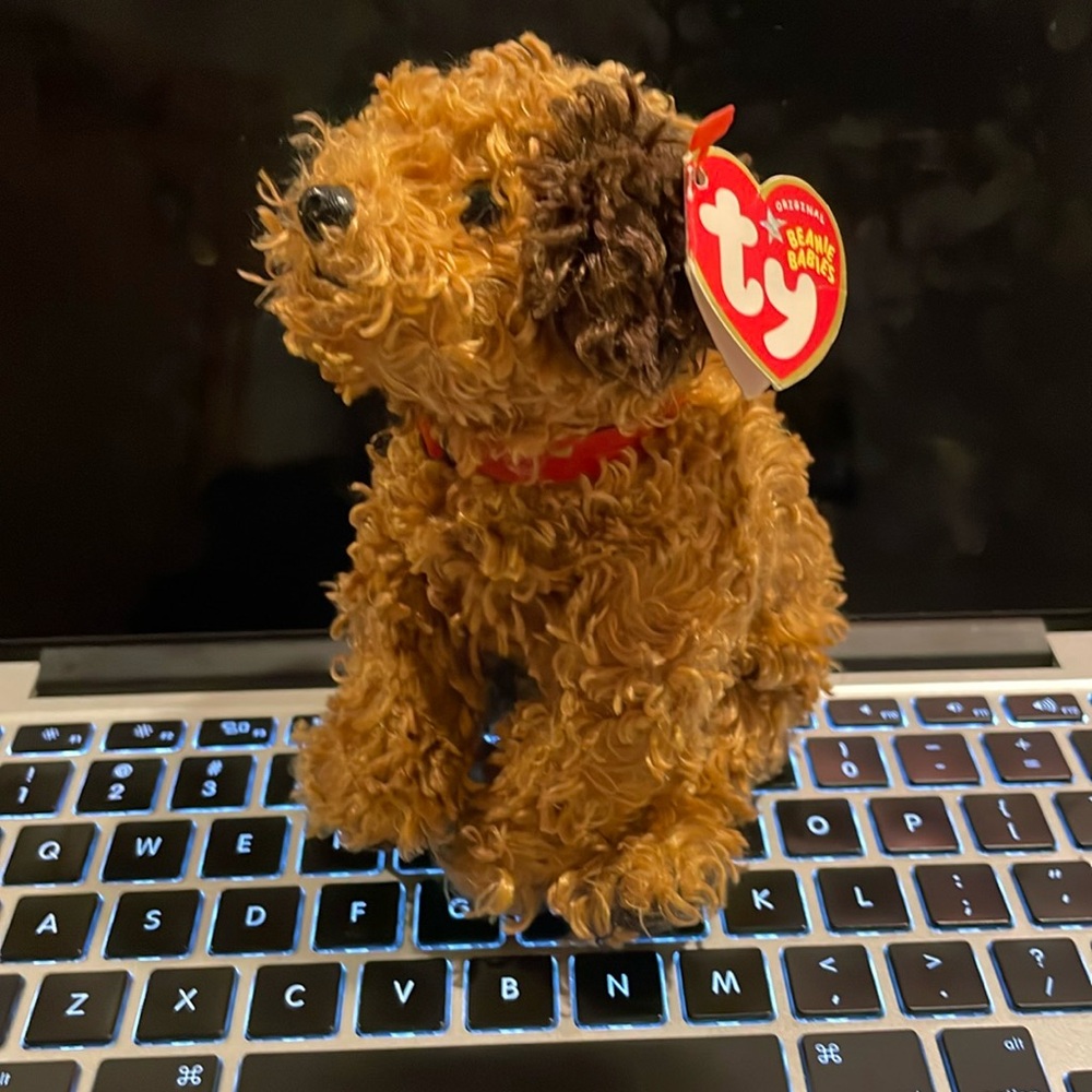 2004 Tunnels 🐶 Ty beanie baby